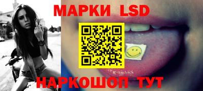 тгк Новодвинск