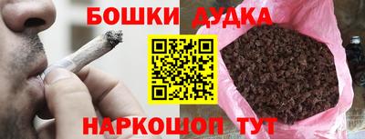 тгк Новодвинск