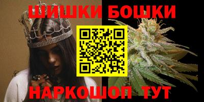тгк Новодвинск