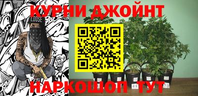 тгк Новодвинск