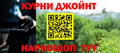 тгк Новодвинск