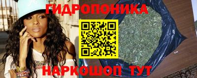 тгк Новодвинск