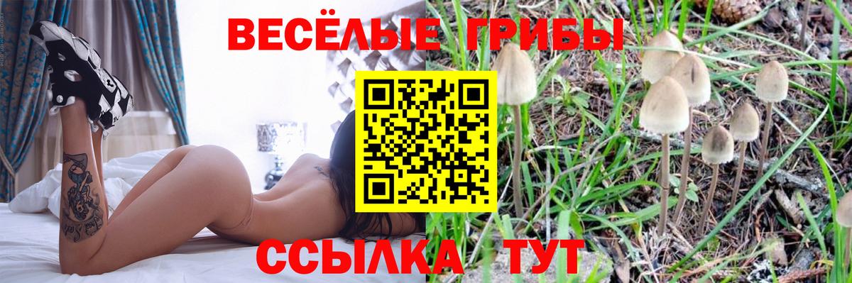 Строитель  Псилоцибиновые грибы мицелий  где найти наркотики  Псилоцибиновые грибы мицелий  Вход с VPN 