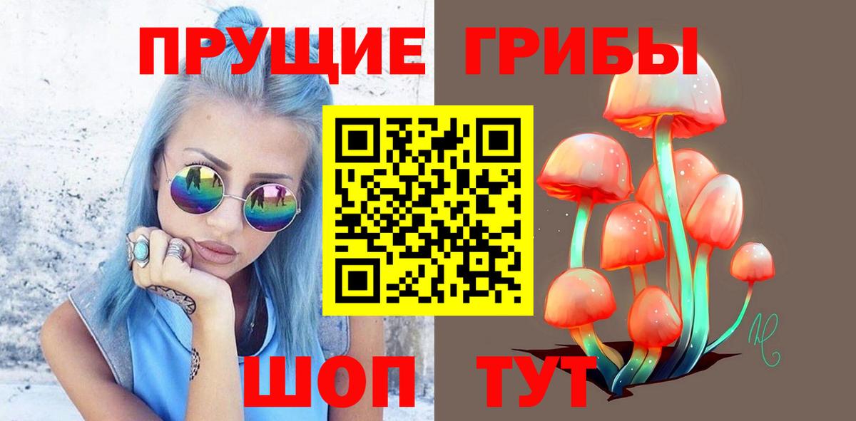 Псилоцибиновые грибы Psilocybine cubensis Строитель